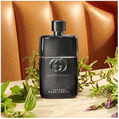 gucci guilty fragrantica|gucci guilty original.